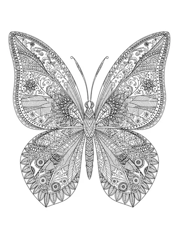 Desenho de borboleta zentangle detalhada para colorir