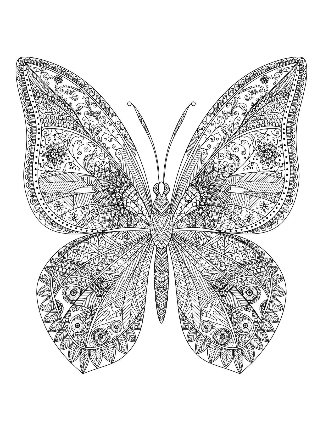 Desenho de borboleta zentangle detalhada para colorir