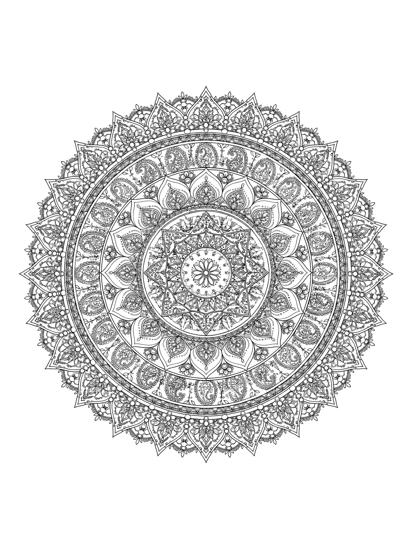 Desenho de mandala circular complexa para colorir