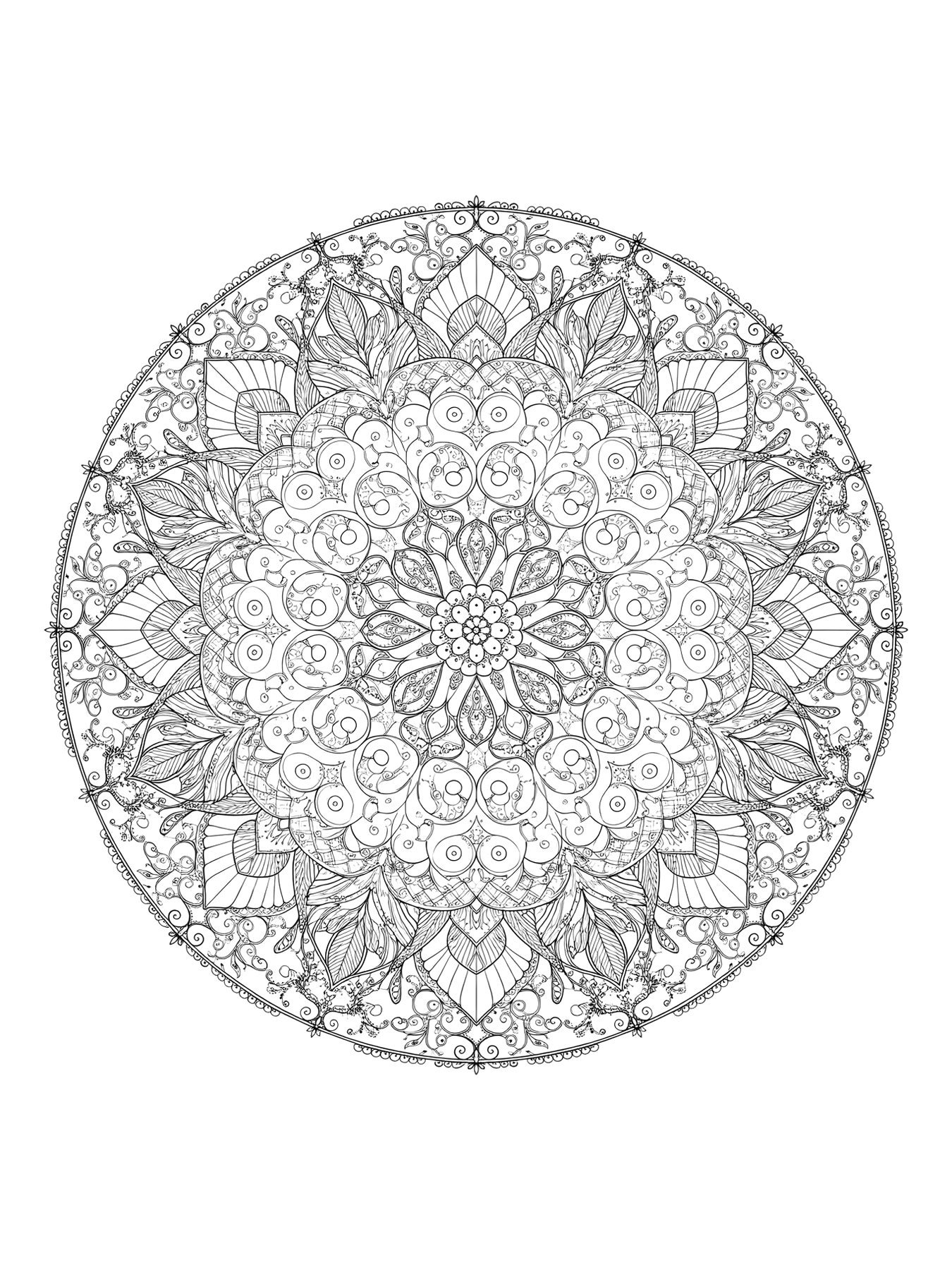 Desenho de mandala zentangle para colorir