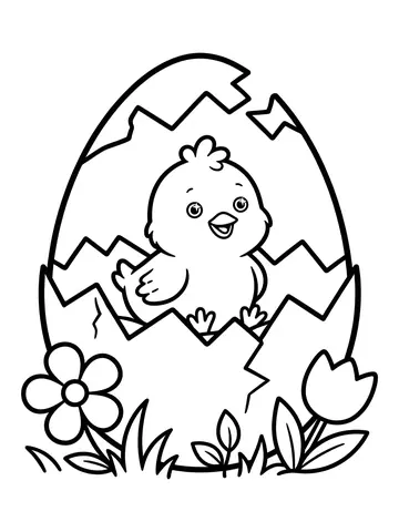 Desenho de pintinho no ovo quebrado para colorir